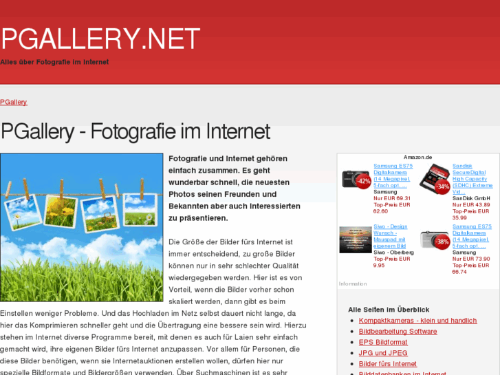 www.pgallery.net