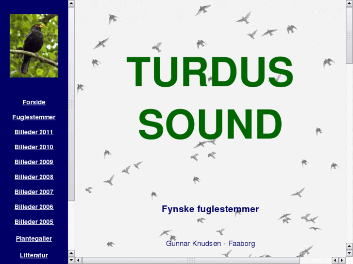 www.turdussound.dk