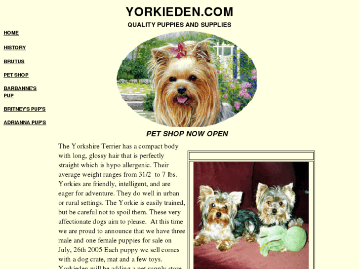 www.yorkieden.com