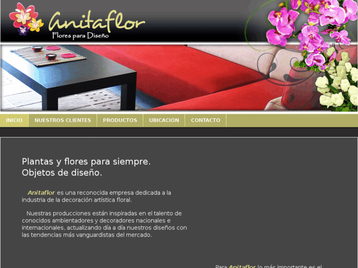 www.anitaflor.com