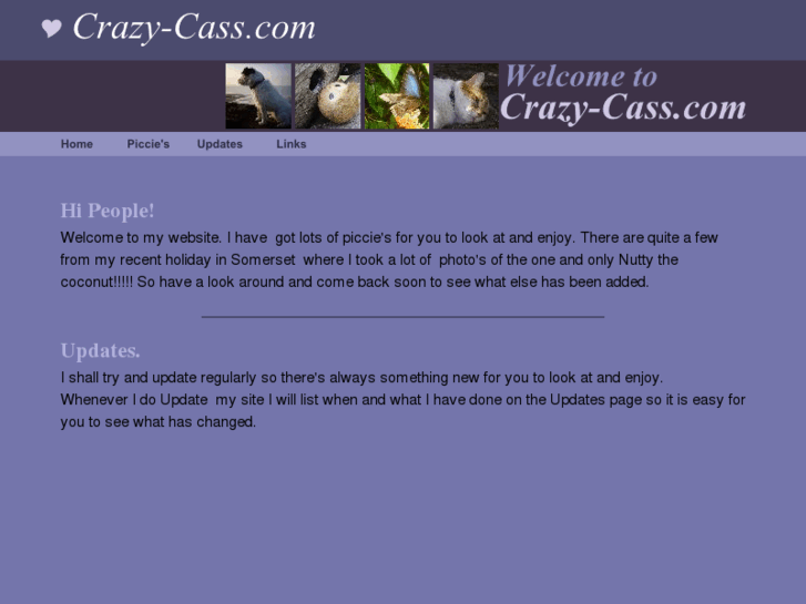 www.crazy-cass.com