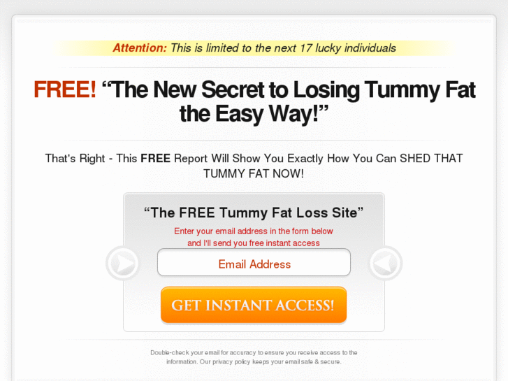 www.new-losing-tummy-fat.com