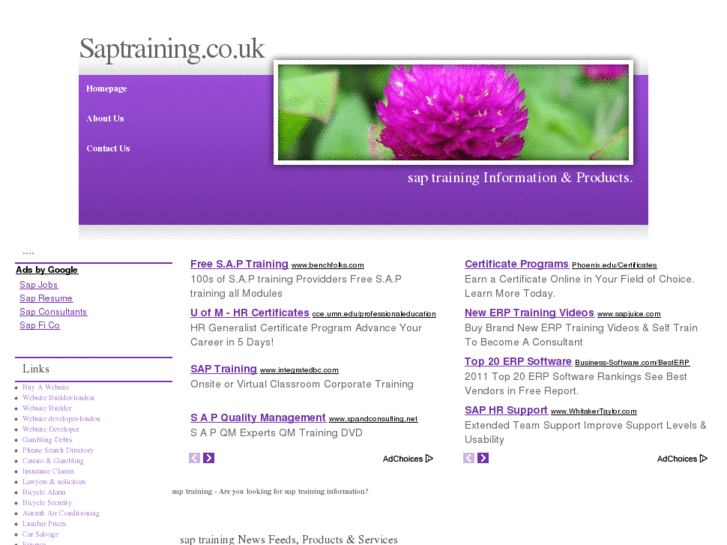 www.saptraining.co.uk