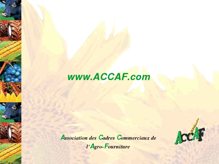 www.accaf.com