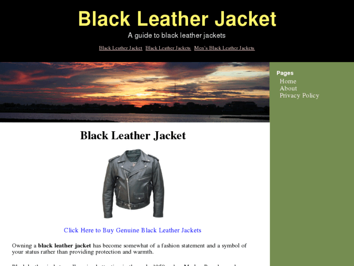 www.blackleatherjacket.org