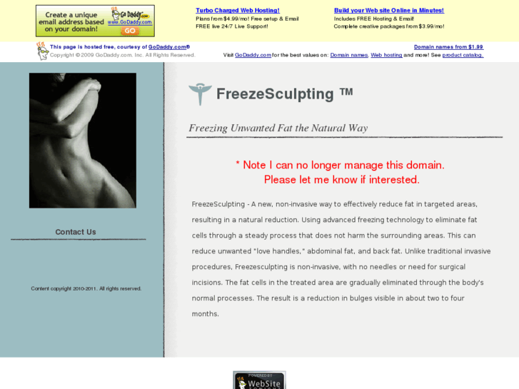 www.freezesculpting.com