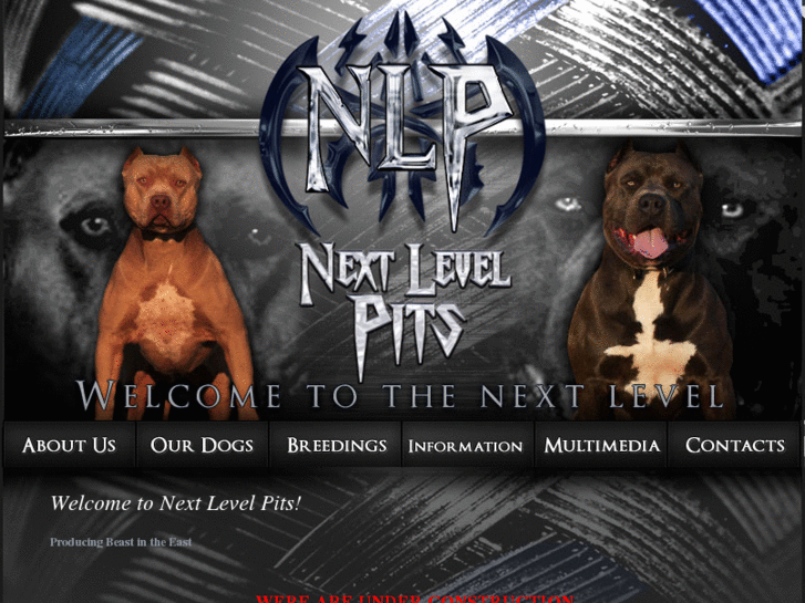 www.nextlevelpits.com