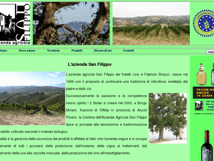 www.vinisanfilippo.it