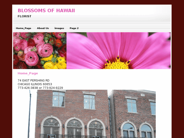 www.blossomsofhawaii.info