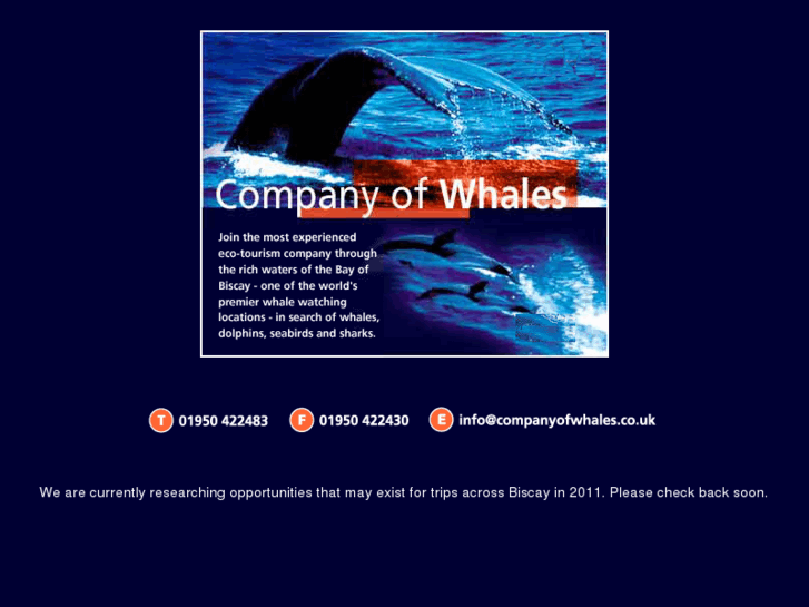 www.companyofwhales.co.uk