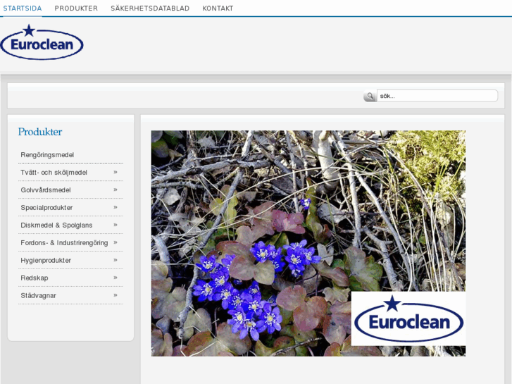 www.euroclean.se