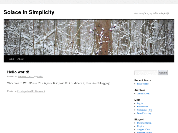 www.solaceinsimplicity.com