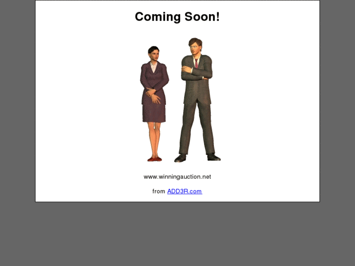 www.winningauction.net