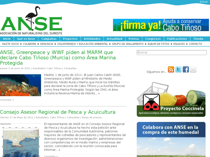 www.asociacionanse.org