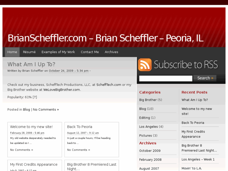 www.brianscheffler.com