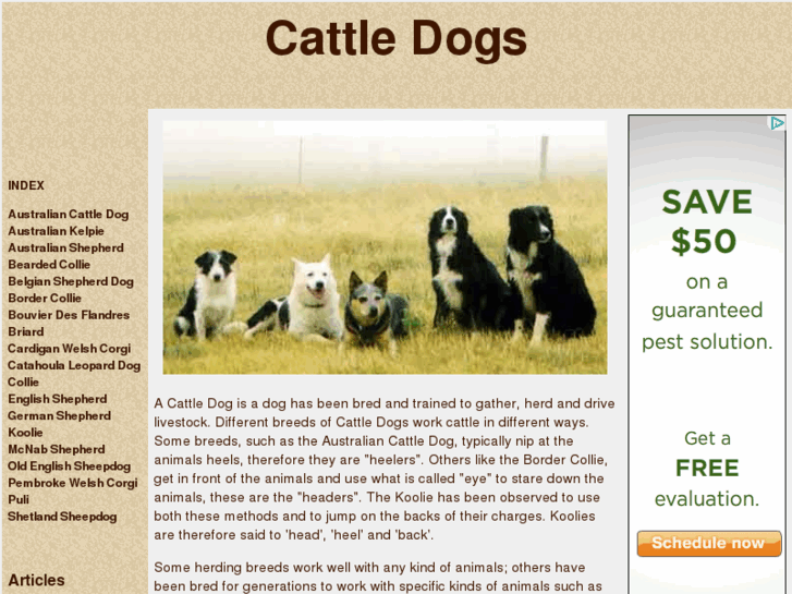 www.cattletoday.biz