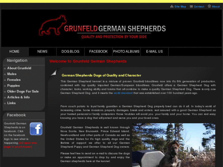 www.grunfeldshepherds.com