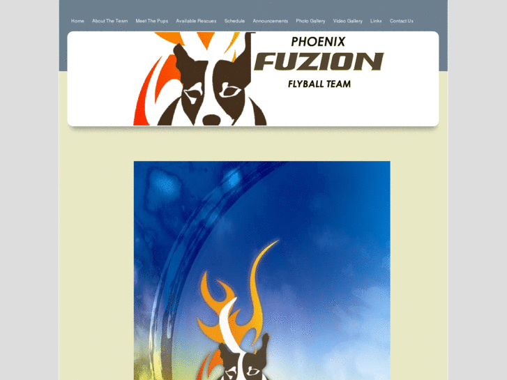 www.phoenixfuzionflyball.com