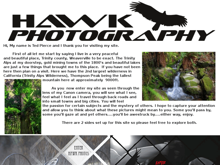 www.hawkphotographee.com