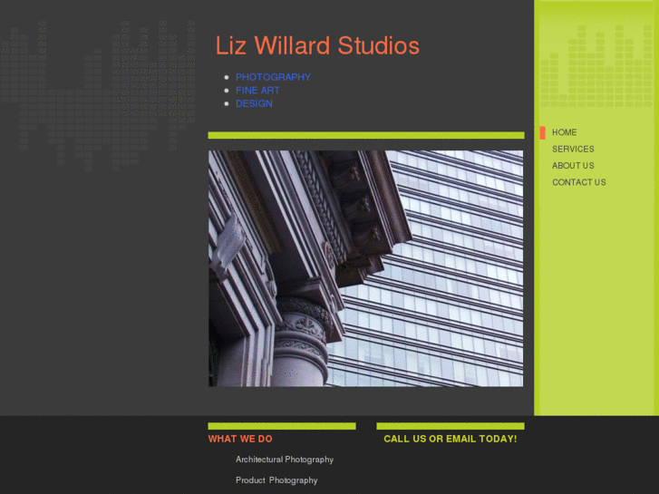 www.lizwillard.com
