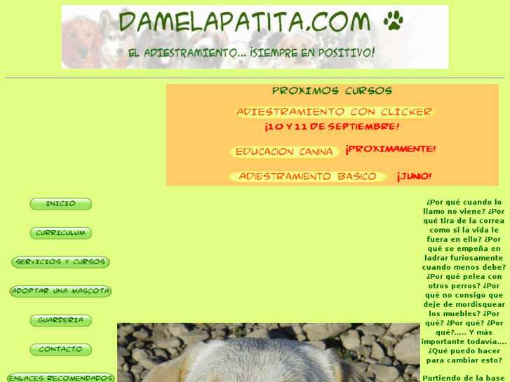 www.damelapatita.com