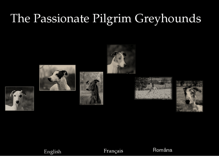 www.greyhoundfr.com