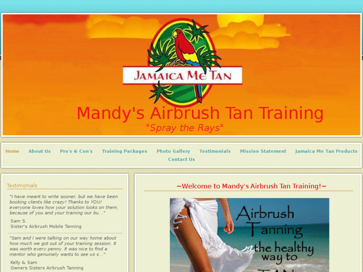 www.mandysairbrushtantraining.com