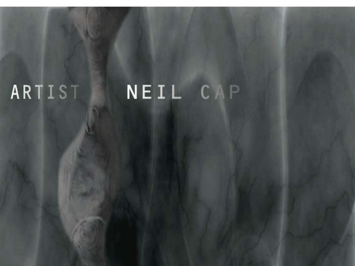 www.neilcap.com