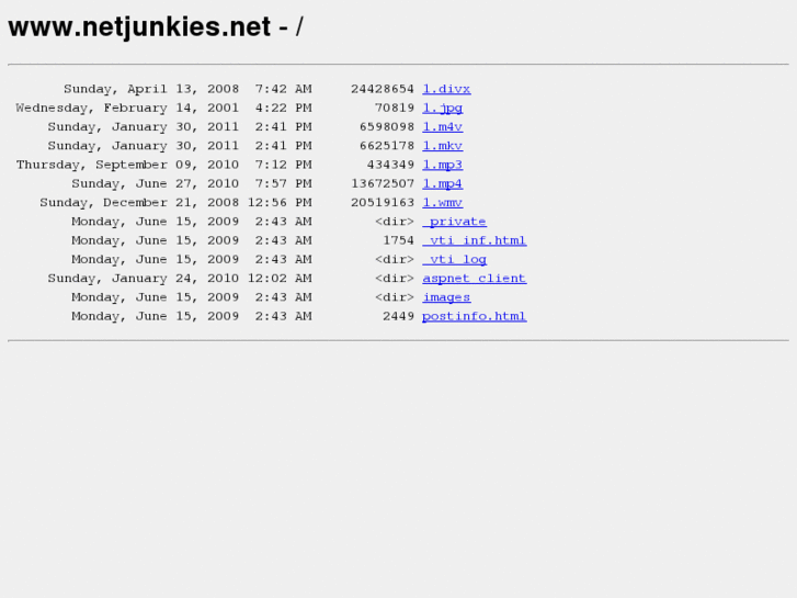 www.netjunkies.net