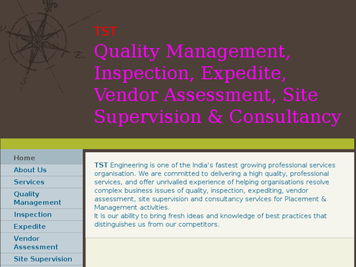 www.tstengg-inspection.com