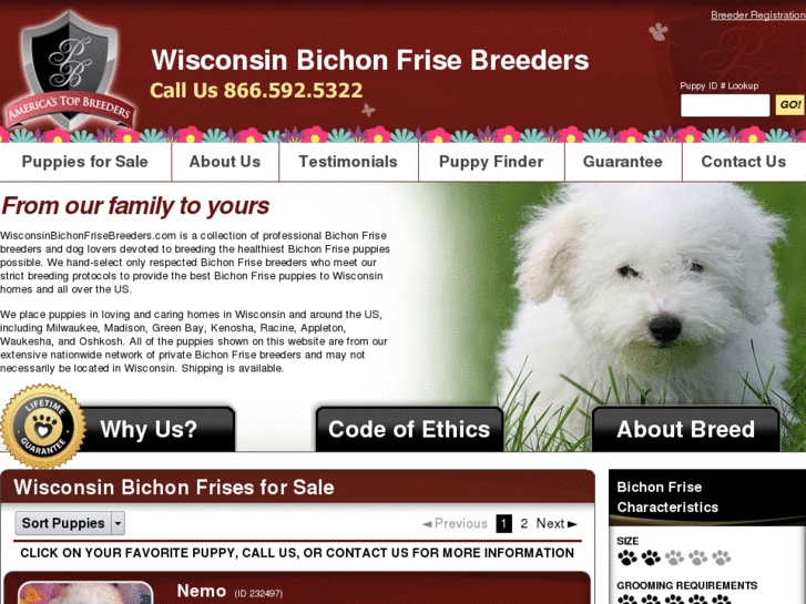 www.wisconsinbichonfrisebreeders.com