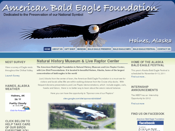 www.baldeagles.org