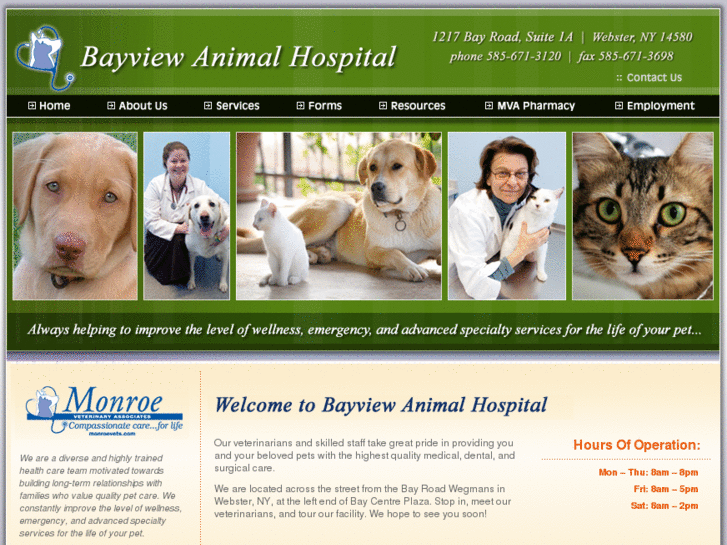 www.bayviewanimalhosp.com