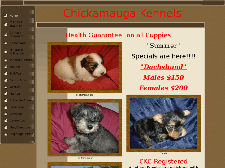 www.chickamaugakennels.com