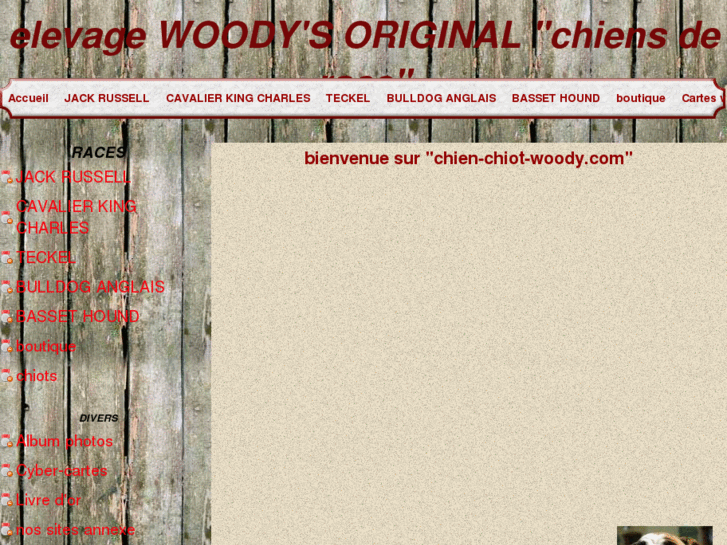 www.chien-chiot-woody.com