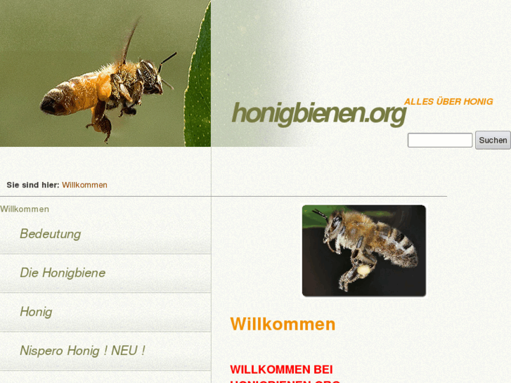 www.honigbienen.org