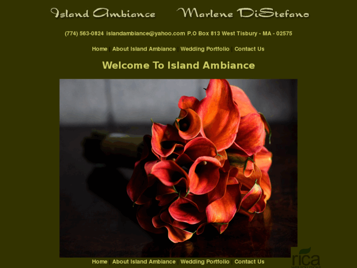 www.island-ambiance.com