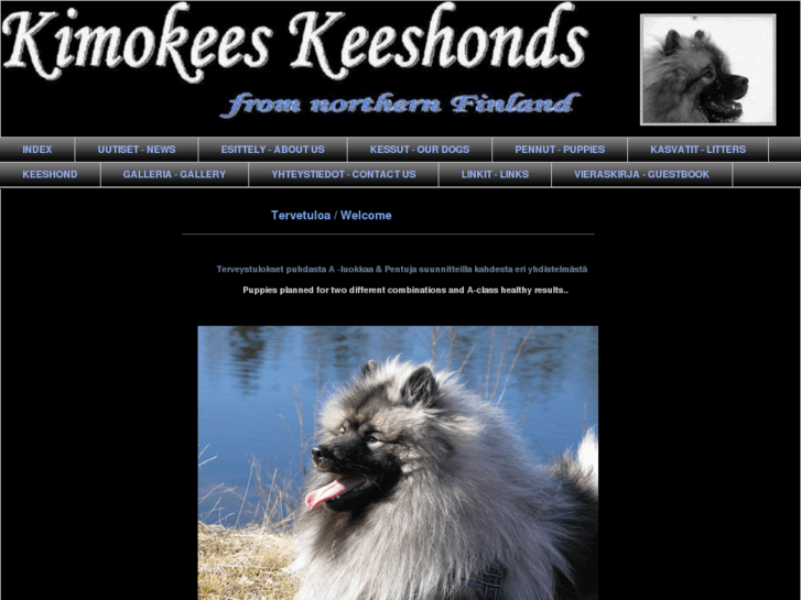 www.kimokees.com