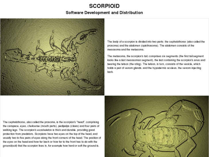 www.scorpioid.com