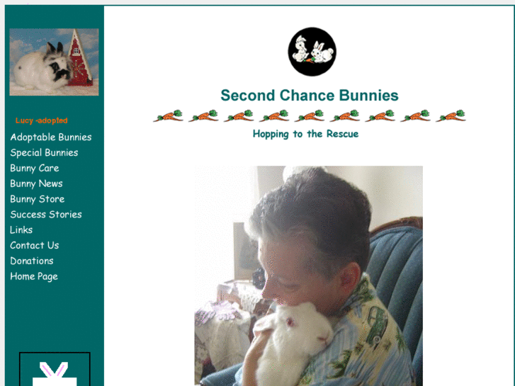 www.secondchancebunnies.com