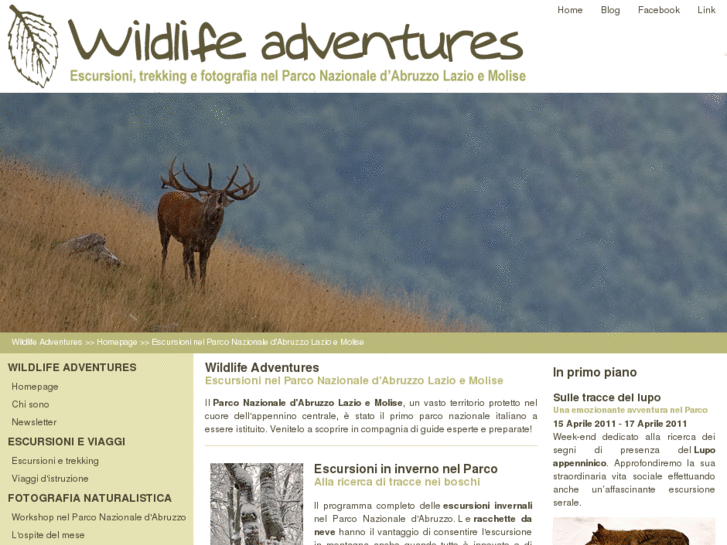 www.wildlifeadventures.it