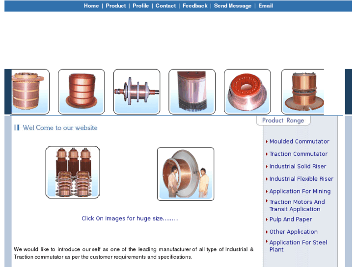 www.dolphinelectricindia.com