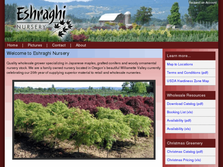 www.eshraghinursery.com