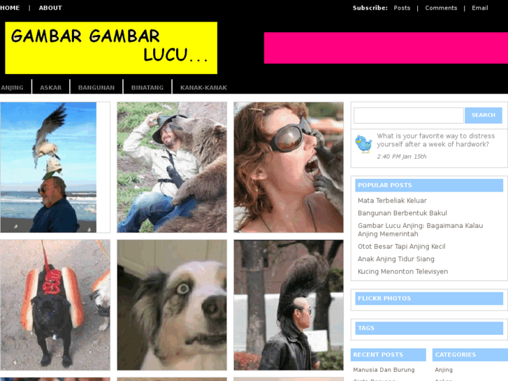 www.gambargambarlucu.com