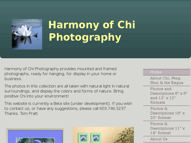 www.harmonyofchiphotography.com