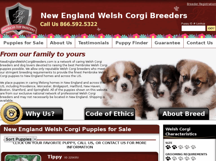 www.newenglandwelshcorgibreeders.com