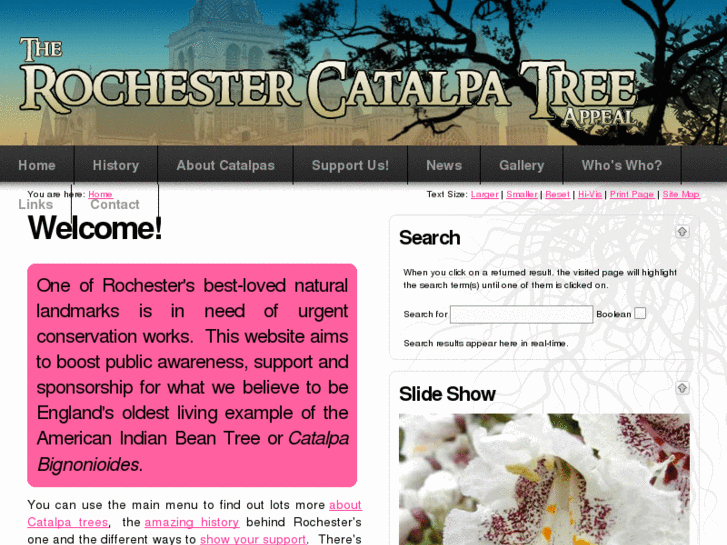 www.rochestercatalpatree.com