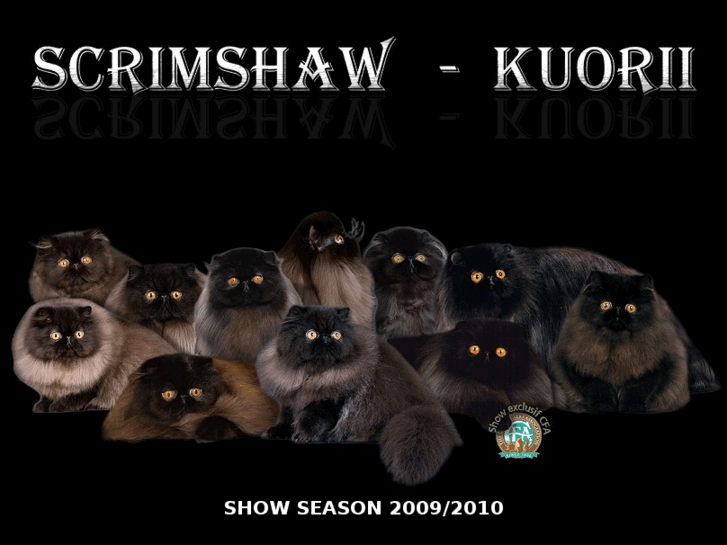 www.scrimshaw-kuorii.com