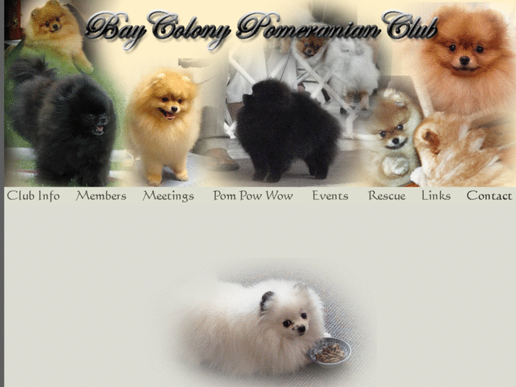 www.baycolonypomeranianclub.org