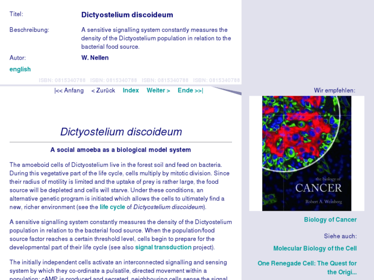 www.dictyostelium.com